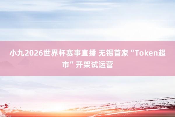 小九2026世界杯赛事直播 无锡首家“Token超市”开架试运营