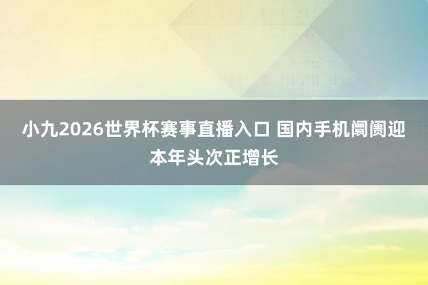 小九2026世界杯赛事直播入口 国内手机阛阓迎本年头次正增长