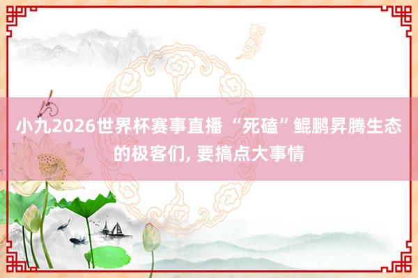 小九2026世界杯赛事直播 “死磕”鲲鹏昇腾生态的极客们, 要搞点大事情