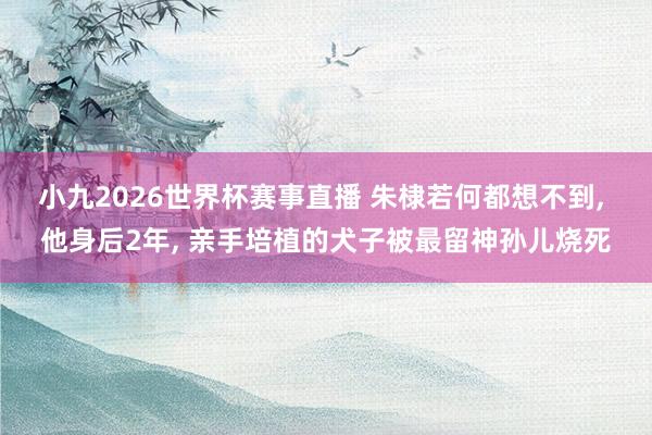 小九2026世界杯赛事直播 朱棣若何都想不到, 他身后2年, 亲手培植的犬子被最留神孙儿烧死