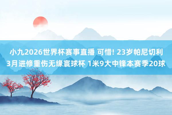 小九2026世界杯赛事直播 可惜! 23岁帕尼切利3月进修重伤无缘寰球杯 1米9大中锋本赛季20球