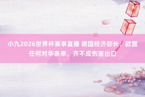 小九2026世界杯赛事直播 德国经济部长：欧盟任何对华表率，齐不成伤害出口