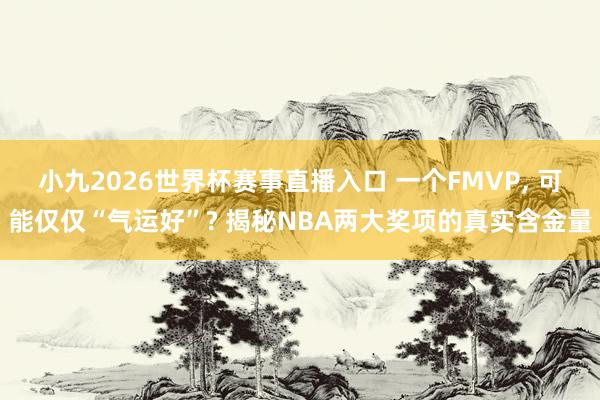 小九2026世界杯赛事直播入口 一个FMVP, 可能仅仅“气运好”? 揭秘NBA两大奖项的真实含金量