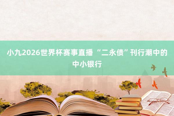 小九2026世界杯赛事直播 “二永债”刊行潮中的中小银行
