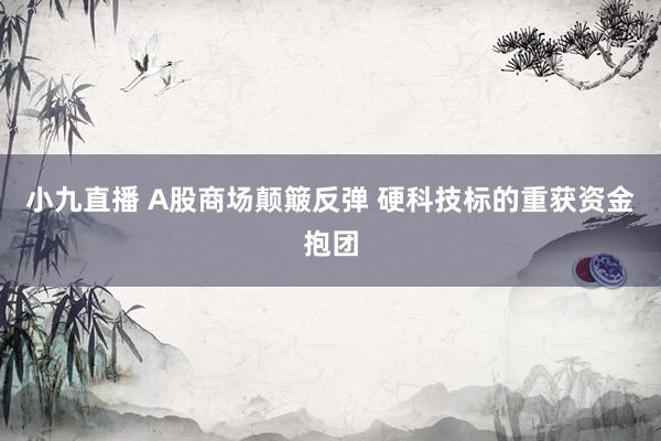 小九直播 A股商场颠簸反弹 硬科技标的重获资金抱团
