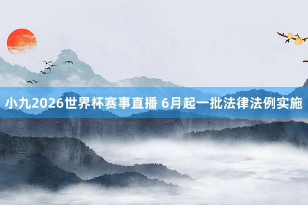 小九2026世界杯赛事直播 6月起一批法律法例实施