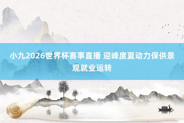 小九2026世界杯赛事直播 迎峰度夏动力保供景观就业运转