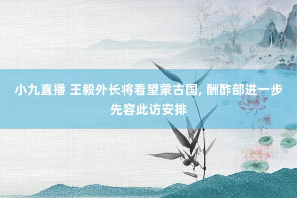 小九直播 王毅外长将看望蒙古国， 酬酢部进一步先容此访安排