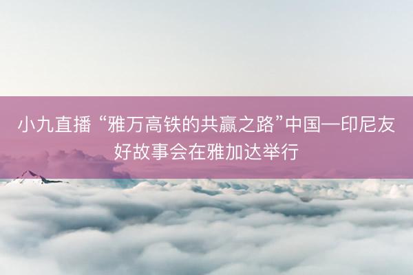 小九直播 “雅万高铁的共赢之路”中国—印尼友好故事会在雅加达举行