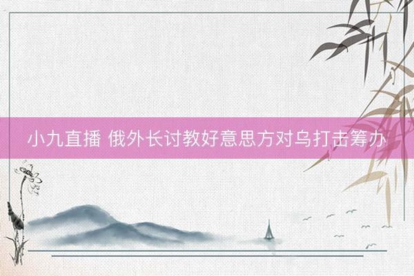 小九直播 俄外长讨教好意思方对乌打击筹办